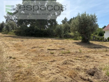 Terreno para Venda em Alcaria