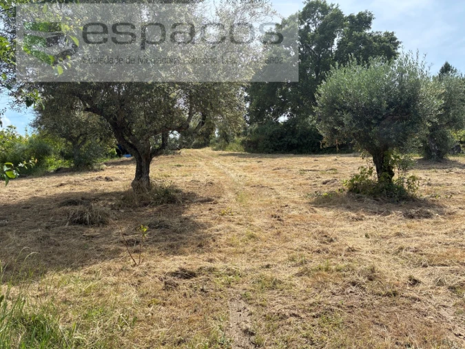Terreno para Venda em Alcaria Foto 2