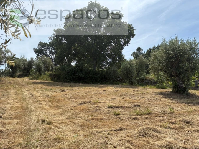 Terreno para Venda em Alcaria Foto 4