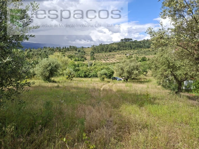Terreno para Venda em Alcaria Foto 6