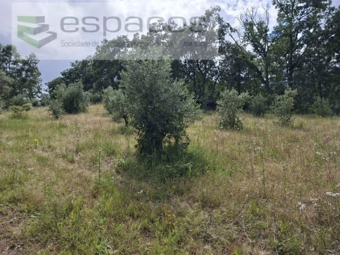Terreno para Venda em Alcaria Foto 22