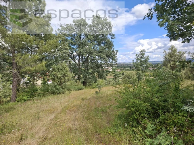 Terreno para Venda em Alcaria Foto 24