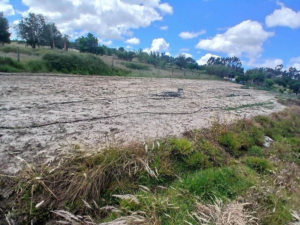 Terreno para Venda em Almoster Foto 2