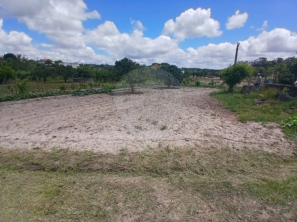 Terreno para Venda em Almoster Foto 9