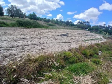 Terreno para Venda em Almoster