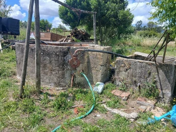 Terreno para Venda em Almoster