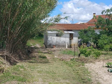 Terreno para Venda em Almoster