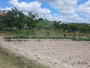 Terreno para Venda em Almoster