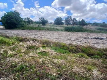 Terreno para Venda em Almoster