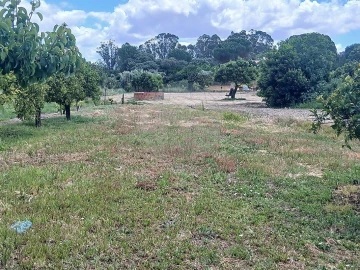 Terreno para Venda em Almoster