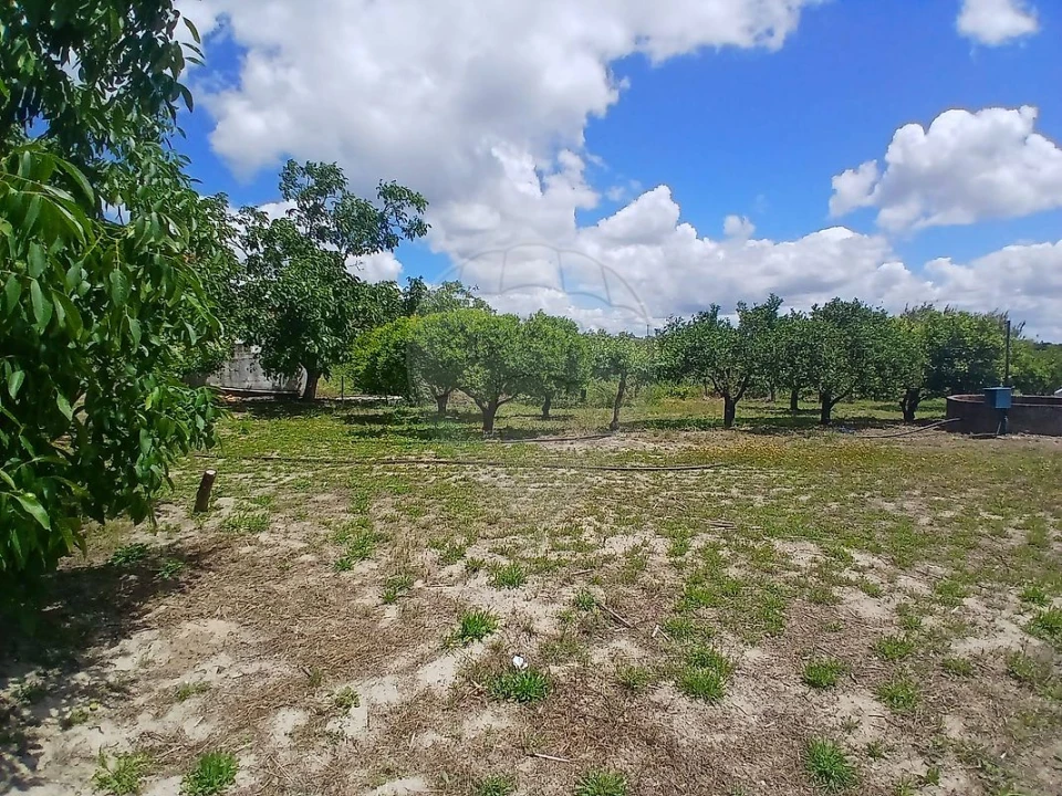 Terreno para Venda em Almoster Foto 5