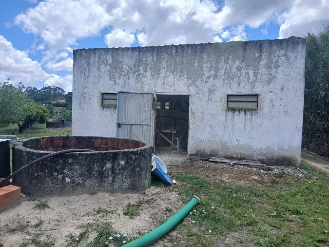 Terreno para Venda em Almoster Foto 13