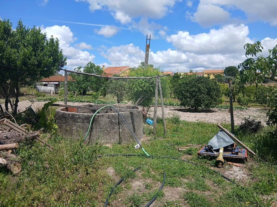 Terreno para Venda em Almoster Foto 10
