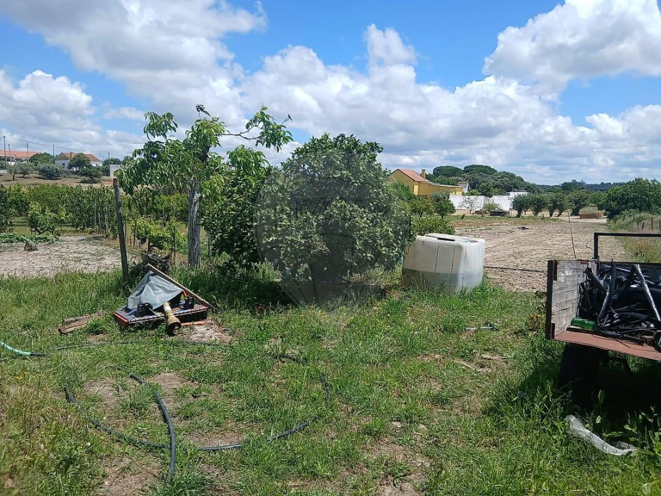 Terreno para Venda em Almoster Foto 14