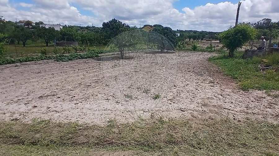 Terreno para Venda em Almoster