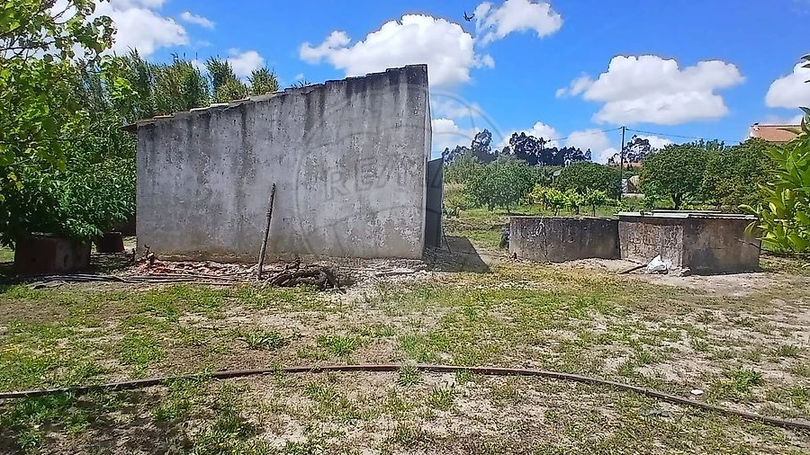 Terreno para Venda em Almoster
