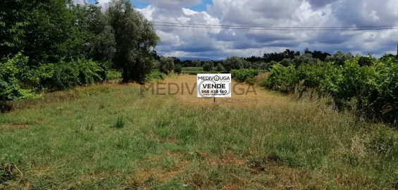 Terreno para Venda em Recardães e Espinhel