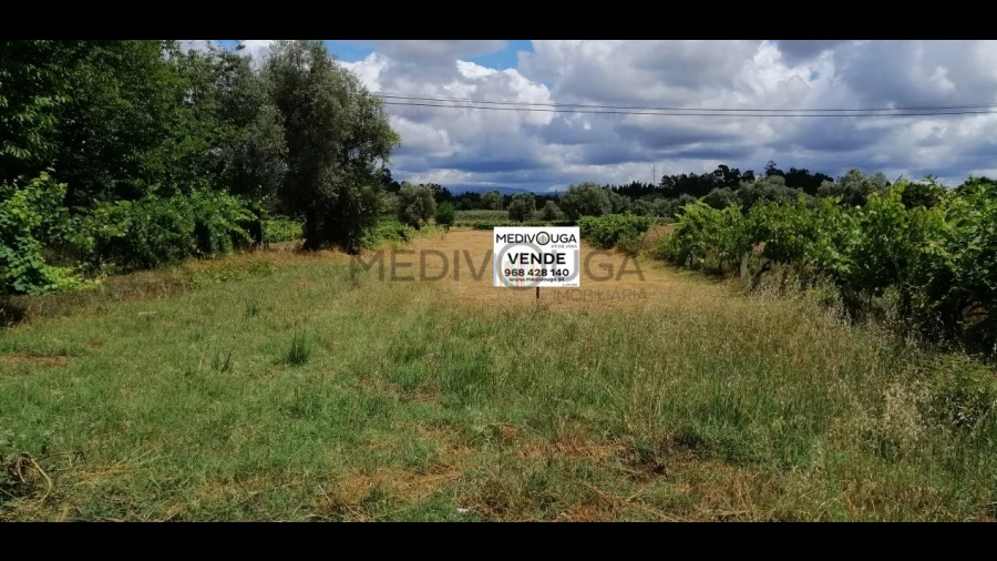 Terreno para Venda em Recardães e Espinhel