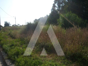 Terreno para Venda em Ílhavo (São Salvador)