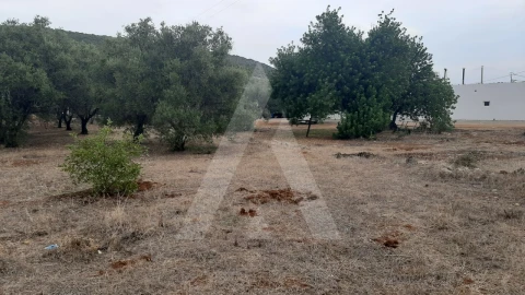 Terreno para Venda em São Brás de Alportel