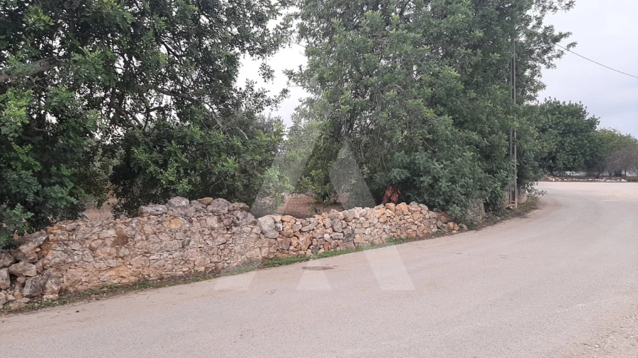 Terreno para Venda em São Brás de Alportel Foto 7