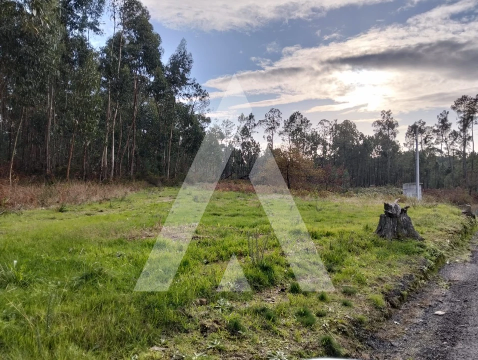 Terreno para Venda em São Pedro de Arcos Foto 9