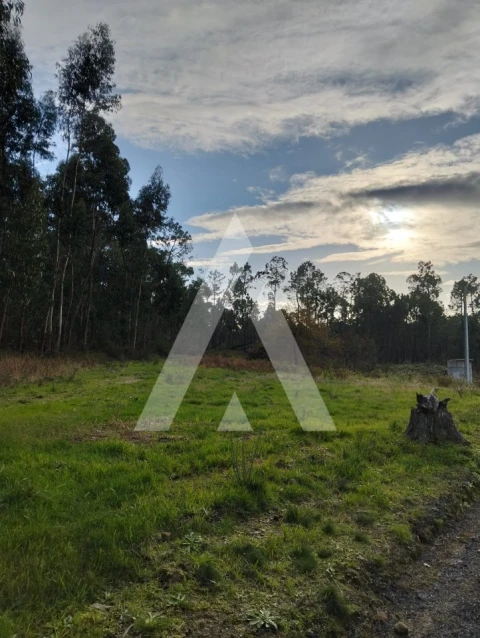 Terreno para Venda em São Pedro de Arcos