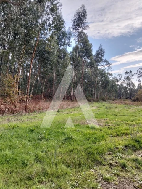 Terreno para Venda em São Pedro de Arcos
