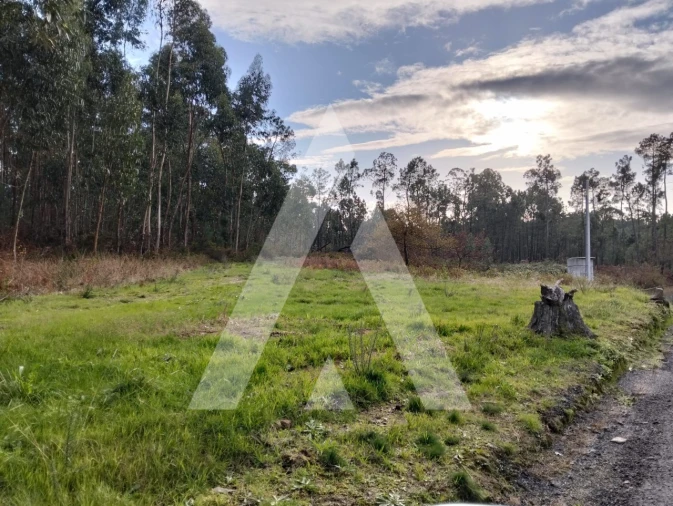 Terreno para Venda em São Pedro de Arcos Foto 9