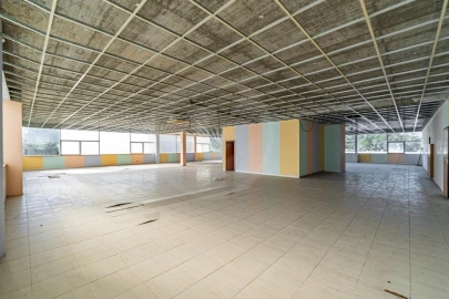 Loja para Arrendamento em Arvore