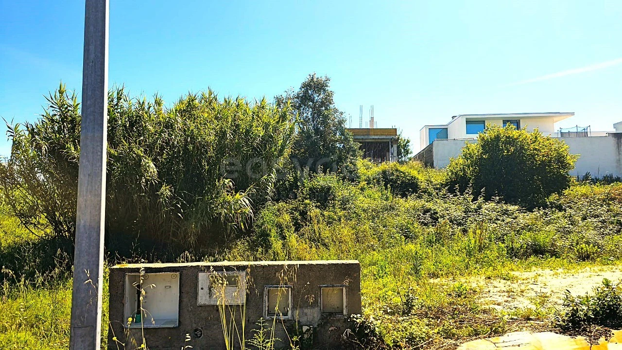Terreno para Venda em Torres Novas (Santa Maria, Salvador e Santiago) Foto 1