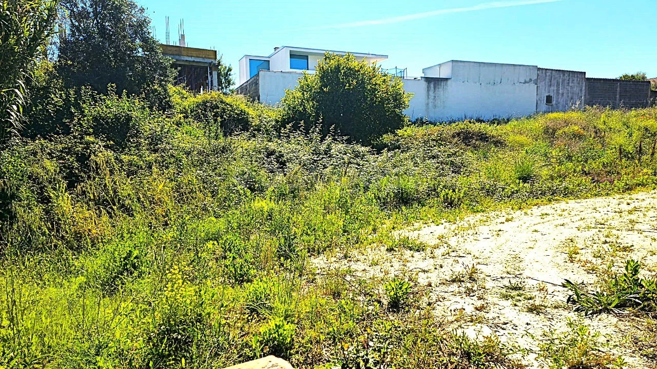 Terreno para Venda em Torres Novas (Santa Maria, Salvador e Santiago) Foto 3