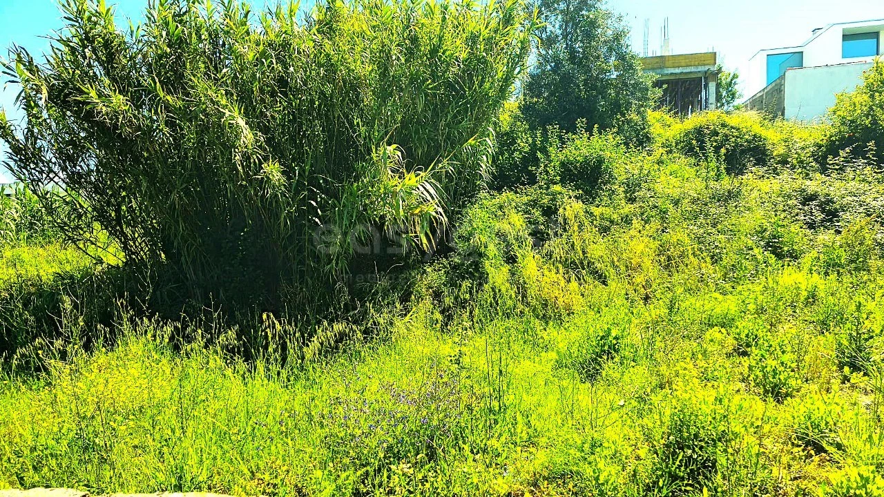 Terreno para Venda em Torres Novas (Santa Maria, Salvador e Santiago) Foto 4