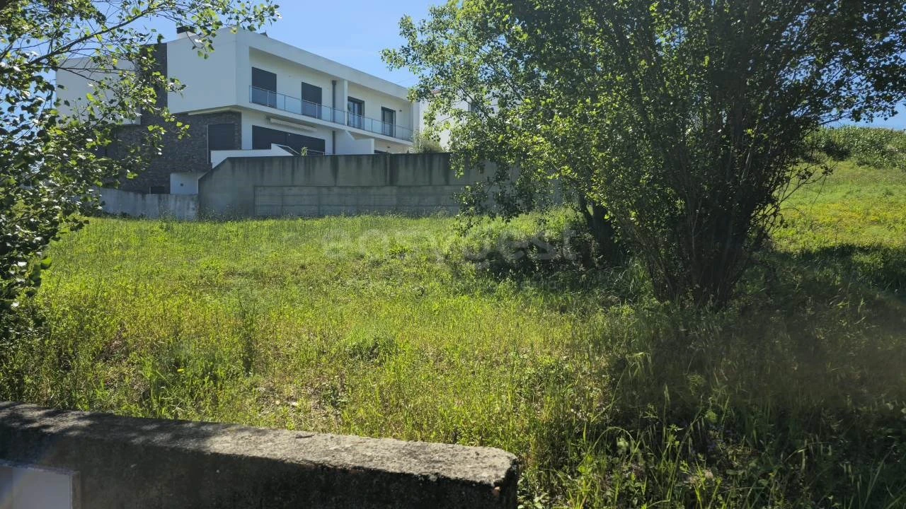 Terreno para Venda em Torres Novas (Santa Maria, Salvador e Santiago) Foto 5