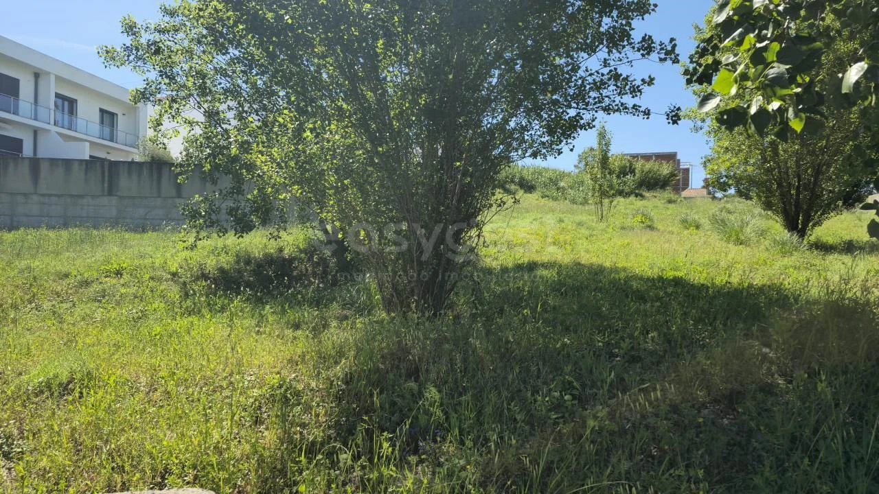 Terreno para Venda em Torres Novas (Santa Maria, Salvador e Santiago) Foto 6