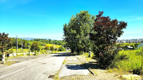 Terreno para Venda em Torres Novas (Santa Maria, Salvador e Santiago)