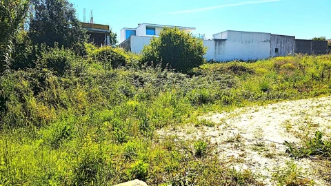 Terreno para Venda em Torres Novas (Santa Maria, Salvador e Santiago)