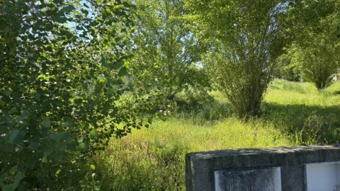 Terreno para Venda em Torres Novas (Santa Maria, Salvador e Santiago)