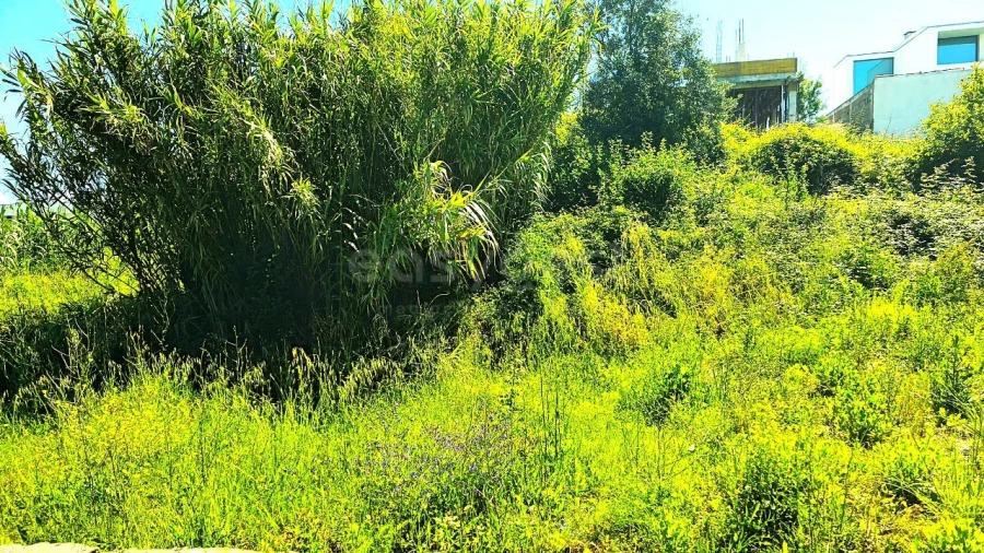 Terreno para Venda em Torres Novas (Santa Maria, Salvador e Santiago) Foto 4