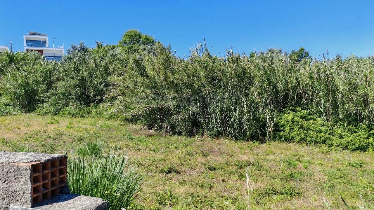 Terreno para Venda em Torres Novas (Santa Maria, Salvador e Santiago) Foto 1