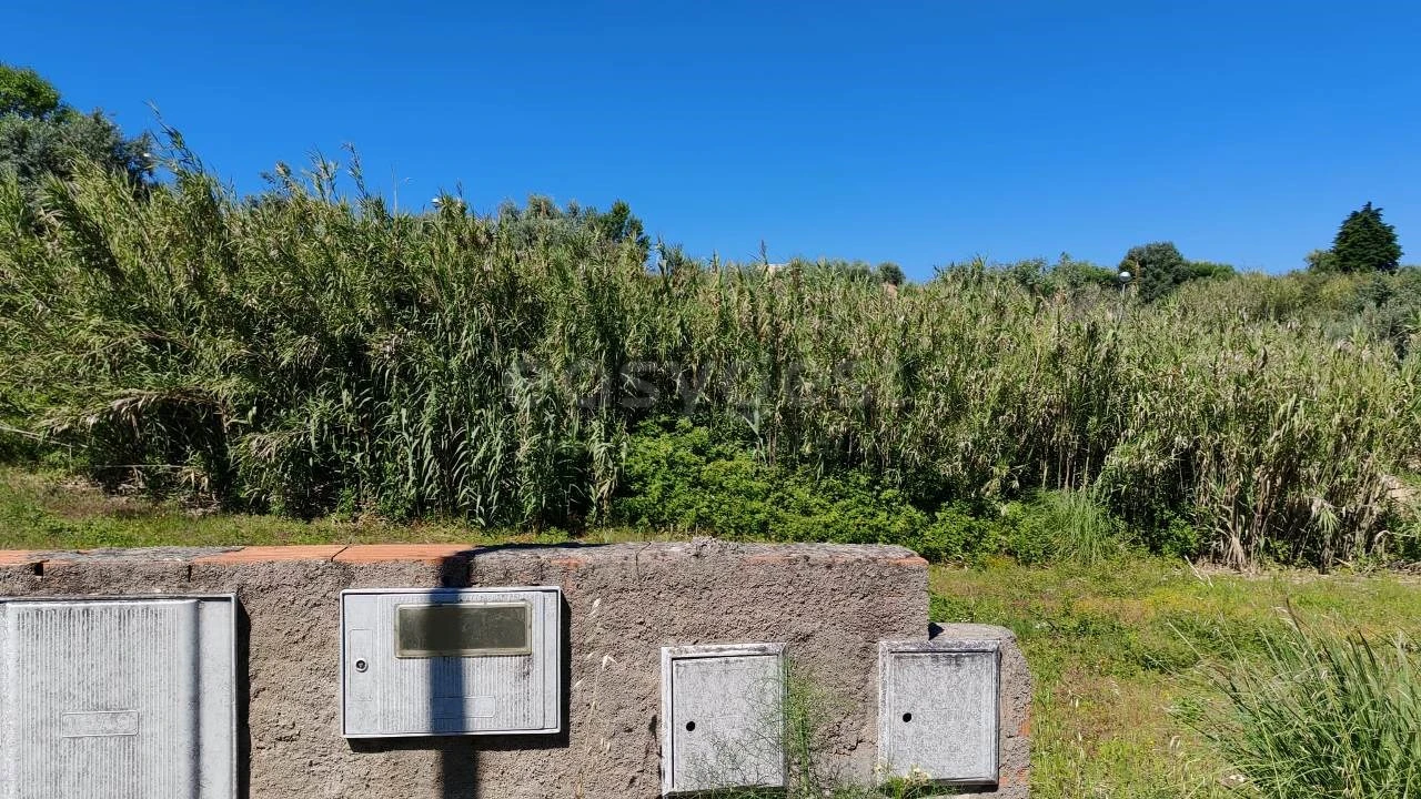 Terreno para Venda em Torres Novas (Santa Maria, Salvador e Santiago) Foto 9