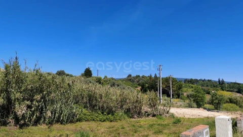 Terreno para Venda em Torres Novas (Santa Maria, Salvador e Santiago)