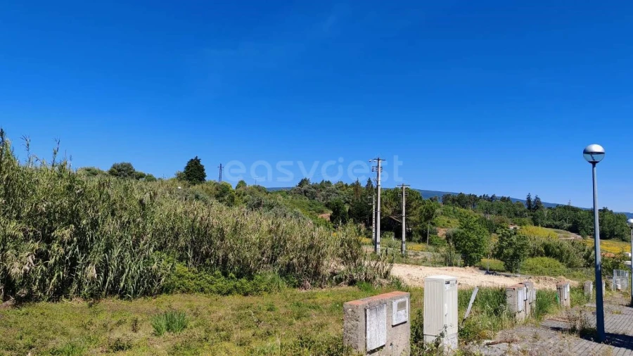 Terreno para Venda em Torres Novas (Santa Maria, Salvador e Santiago) Foto 5