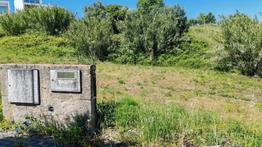 Terreno para Venda em Torres Novas (Santa Maria, Salvador e Santiago) Foto 6