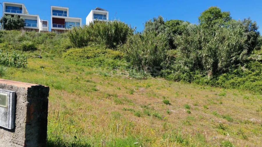 Terreno para Venda em Torres Novas (Santa Maria, Salvador e Santiago) Foto 7