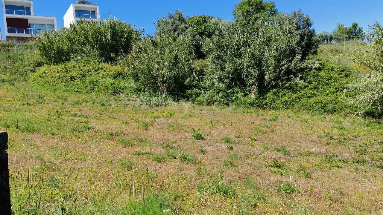 Terreno para Venda em Torres Novas (Santa Maria, Salvador e Santiago) Foto 3