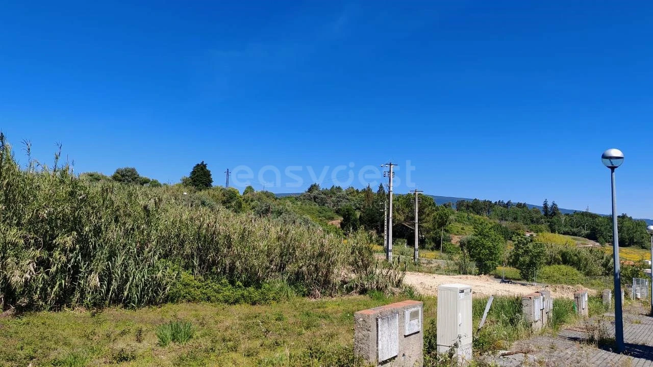 Terreno para Venda em Torres Novas (Santa Maria, Salvador e Santiago) Foto 6