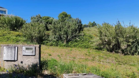Terreno para Venda em Torres Novas (Santa Maria, Salvador e Santiago)