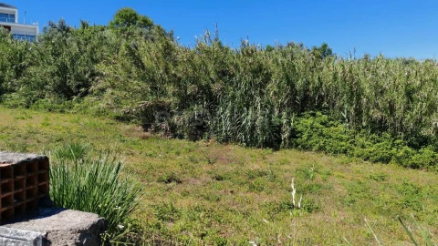 Terreno para Venda em Torres Novas (Santa Maria, Salvador e Santiago)