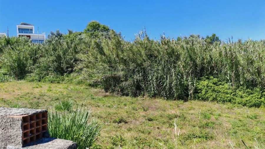 Terreno para Venda em Torres Novas (Santa Maria, Salvador e Santiago) Foto 9